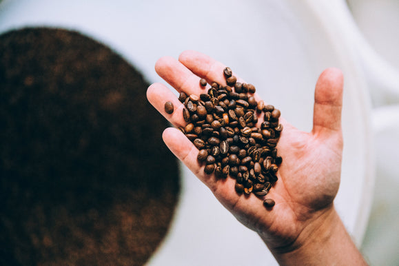 Arabica Anbauregionen: Terroir trifft auf Geschmack